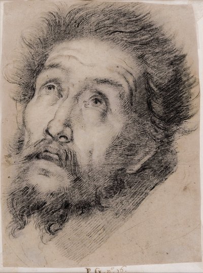 Study for St Francis of Assisi Adoring the Cross by Bernardo Strozzi